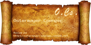 Ostermayer Csenger névjegykártya